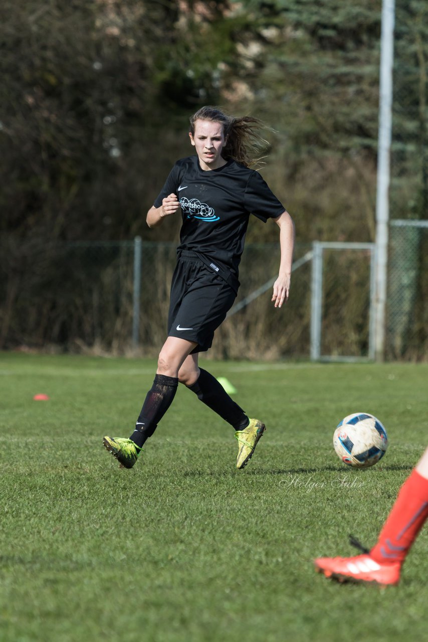 Bild 253 - C-Juniorinnen SV Steinhorst/Labenz - TSV Friedrichsberg-Busdorf : Ergebnis: 5:0